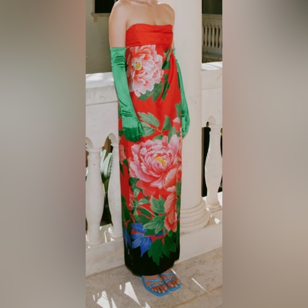 Zara Floral Print Dress. NWT